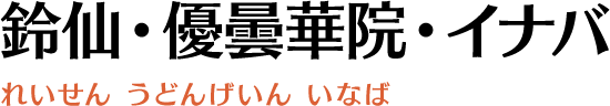 鈴仙・優曇華院・イナバ(れいせん うどんげいん いなば)